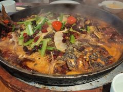 -老板恋上鱼(荣盛广场店)