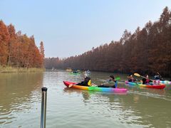 -上海海湾国家森林公园