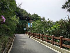 -杭州半山国家森林公园