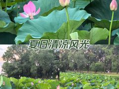 -承德避暑山庄景区