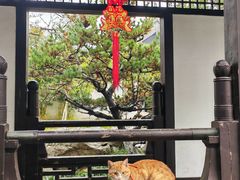-常熟方塔园