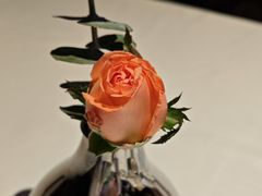 -佐度王子扒房(天鹅湖店)