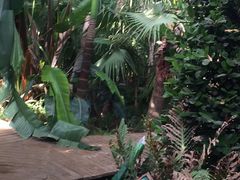 -石家庄市植物园