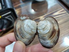 -海帮主·蒸汽海鲜青岛菜(栈桥火车站店)