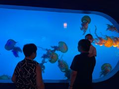 -中央电视塔旋转餐厅
