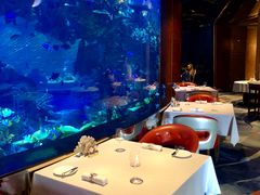-迪拜帆船酒店海底餐厅