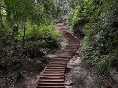 -青城山