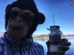 -泸沽湖里格半岛