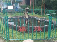 -东天目山风景区