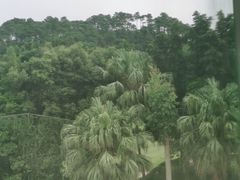 -美的鹭湖探索王国