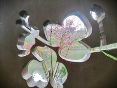 -重庆彩云湖湿地公园