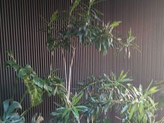 -阿伟海鲜楼·福建菜(涵江店)
