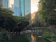 -九龙公园