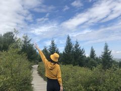 -苏木山森林公园