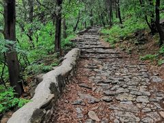 -阳台山自然风景区