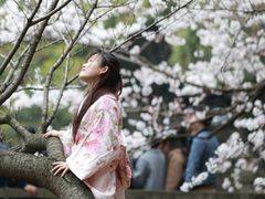 -武汉大学-樱园