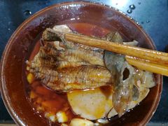 -肥龙火锅(南坪店)