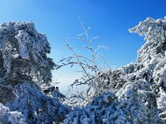 -崂山巨峰游览区