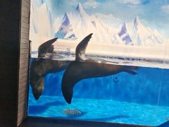 -成都浩海立方海洋公园