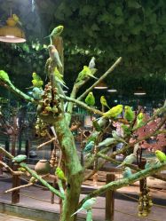 -酷嗒动物文化乐园(cutezoo西溪乐天城店)