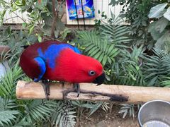 -南宫五洲植物乐园