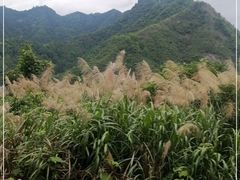 -秋浦河景区