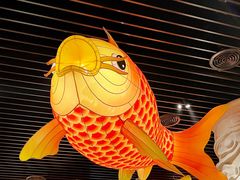 -肥福排档(星光店)