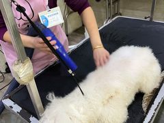 -暖阳宠物医院·犬猫康复中心·骨科
