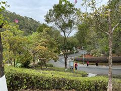 -神光山国家森林公园