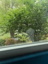 -馨果汇月子产康中心(南湖公园店)