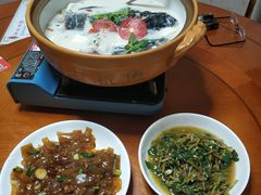 -全乐鱼馆·淳牌有机鱼直营店