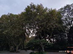 -红梅公园