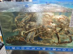 -塔湾北行农贸市场