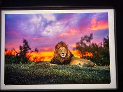 -罗红摄影艺术馆