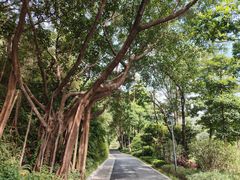 -云溪植物园