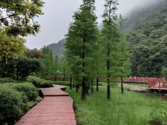-广州市石门国家森林公园