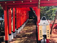 -金泽21世纪美术馆