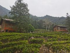 -姑婆山旅游区