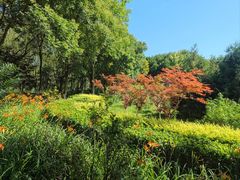 -大兴滨河森林公园