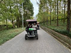 -上海长兴岛郊野公园