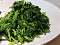 清炒豌豆尖-悦融琥珀·京鲁菜·海味珍品(西单店)