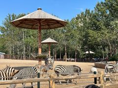 -大连森林动物园