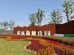 -上海滨江森林公园