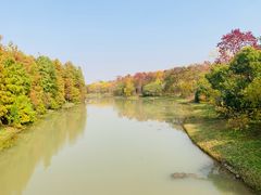 -上海海湾国家森林公园