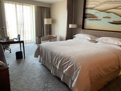 -上海嘉定喜来登酒店