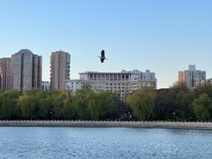 -迎泽公园
