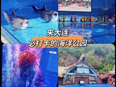 -大连老虎滩海洋公园