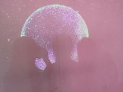-成都失恋馆