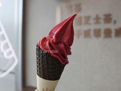 冰山杨梅脆筒-喜茶(合肥中环城店)