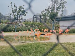 -武汉动物园
